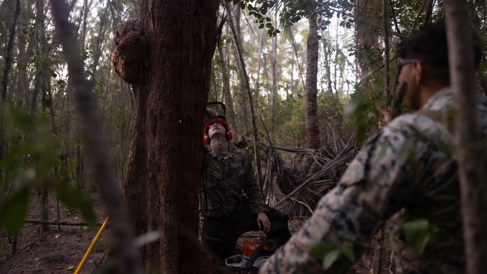 U.S. Marines with MWSS-271 conduct tree-felling operations