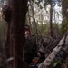 U.S. Marines with MWSS-271 conduct tree-felling operations