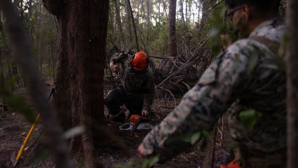 U.S. Marines with MWSS-271 conduct tree-felling operations
