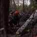 U.S. Marines with MWSS-271 conduct tree-felling operations