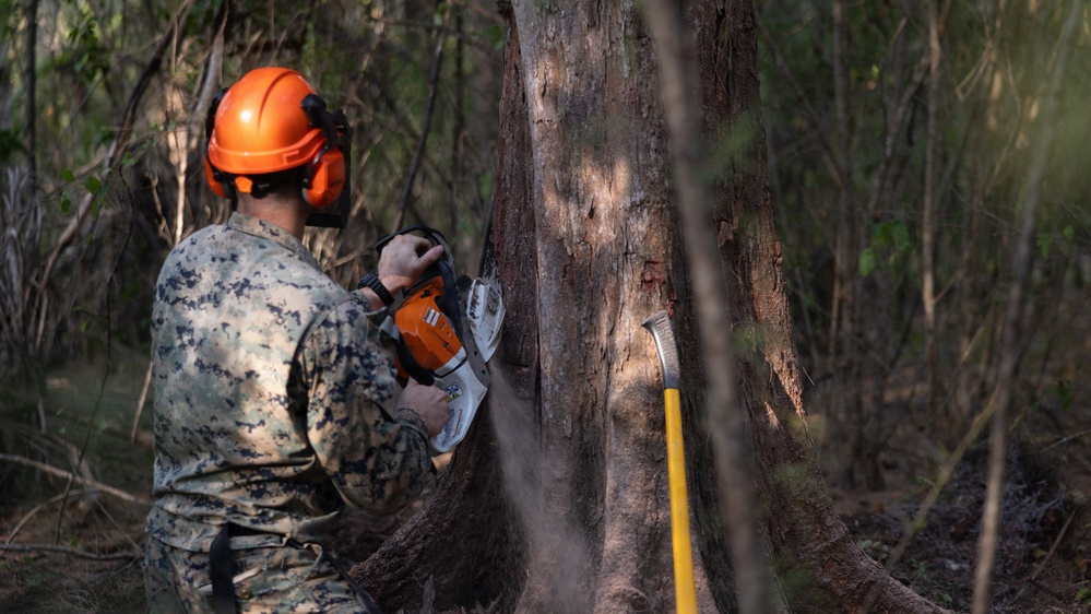 U.S. Marines with MWSS-271 conduct tree-felling operations
