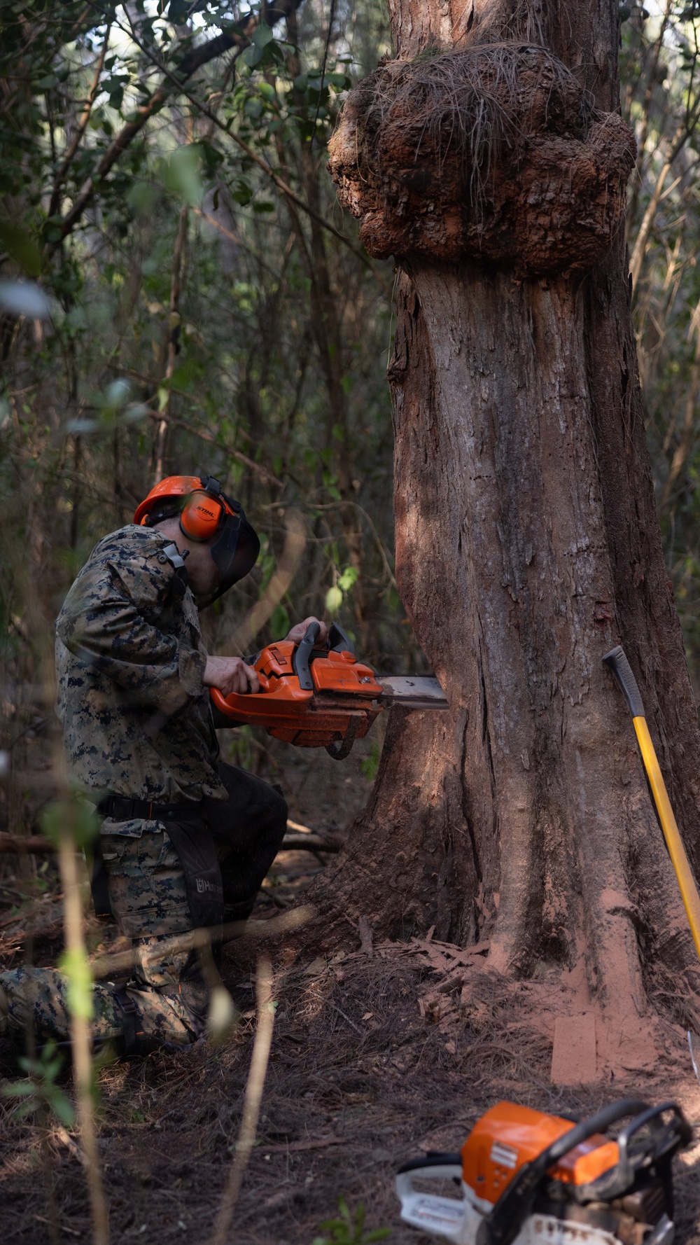 U.S. Marines with MWSS-271 conduct tree-felling operations