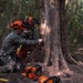 U.S. Marines with MWSS-271 conduct tree-felling operations