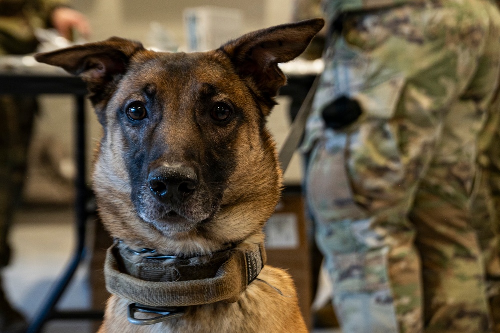 Arctic Edge 2026 medical experimentation participants get hands-on during orientation at Kodiak