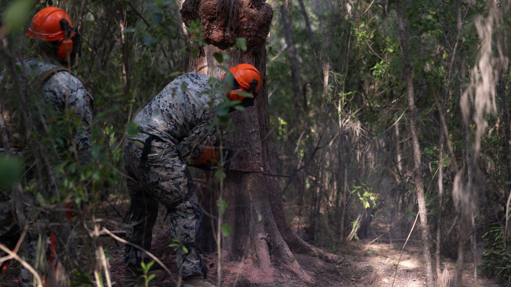 U.S. Marines with MWSS-271 conduct tree-felling operations