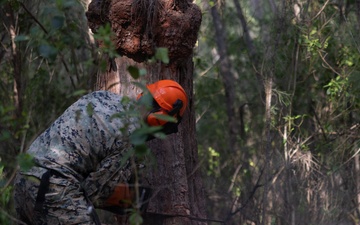 U.S. Marines with MWSS-271 conduct tree-felling operations