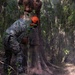 U.S. Marines with MWSS-271 conduct tree-felling operations