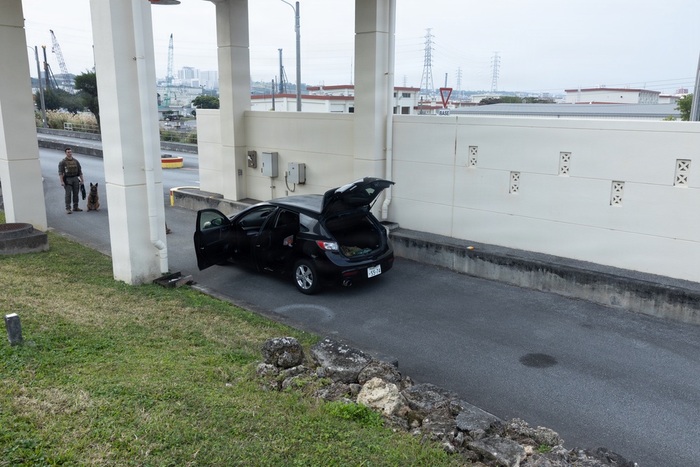 Marines respond to a simulated bomb threat during base defense exercise