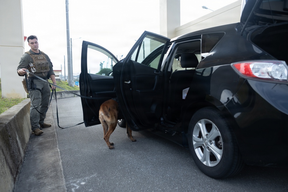 Marines respond to a simulated bomb threat during base defense exercise