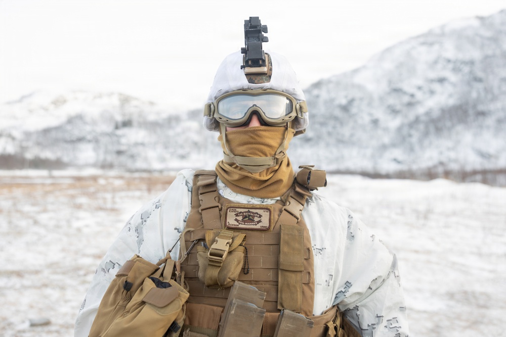 Headline: CORE26 | U.S. Marines and Sailors Execute Cold Weather Live-Fire Range for Arctic Exercise