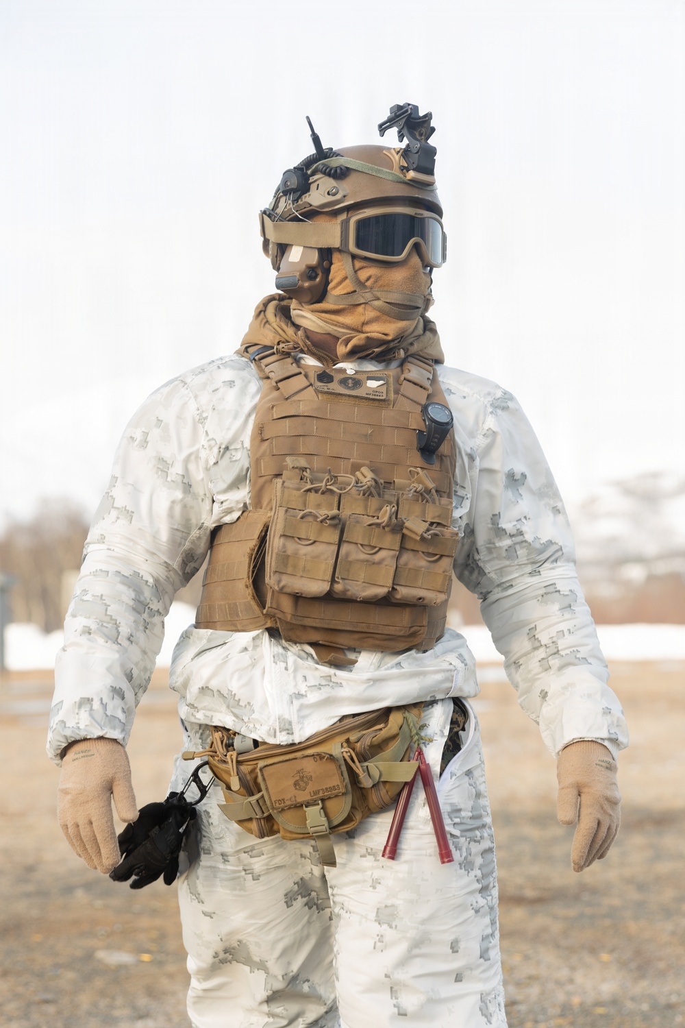 Headline: CORE26 | U.S. Marines and Sailors Execute Cold Weather Live-Fire Range for Arctic Exercise