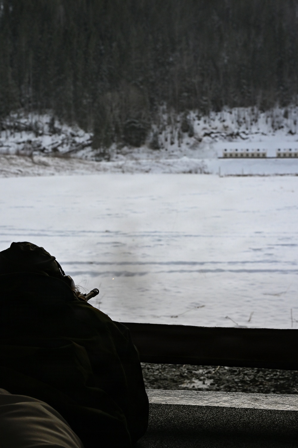 Minnesota National Guard receives introduction to HK-416 training from Norwegian Home Guard during NOREX53