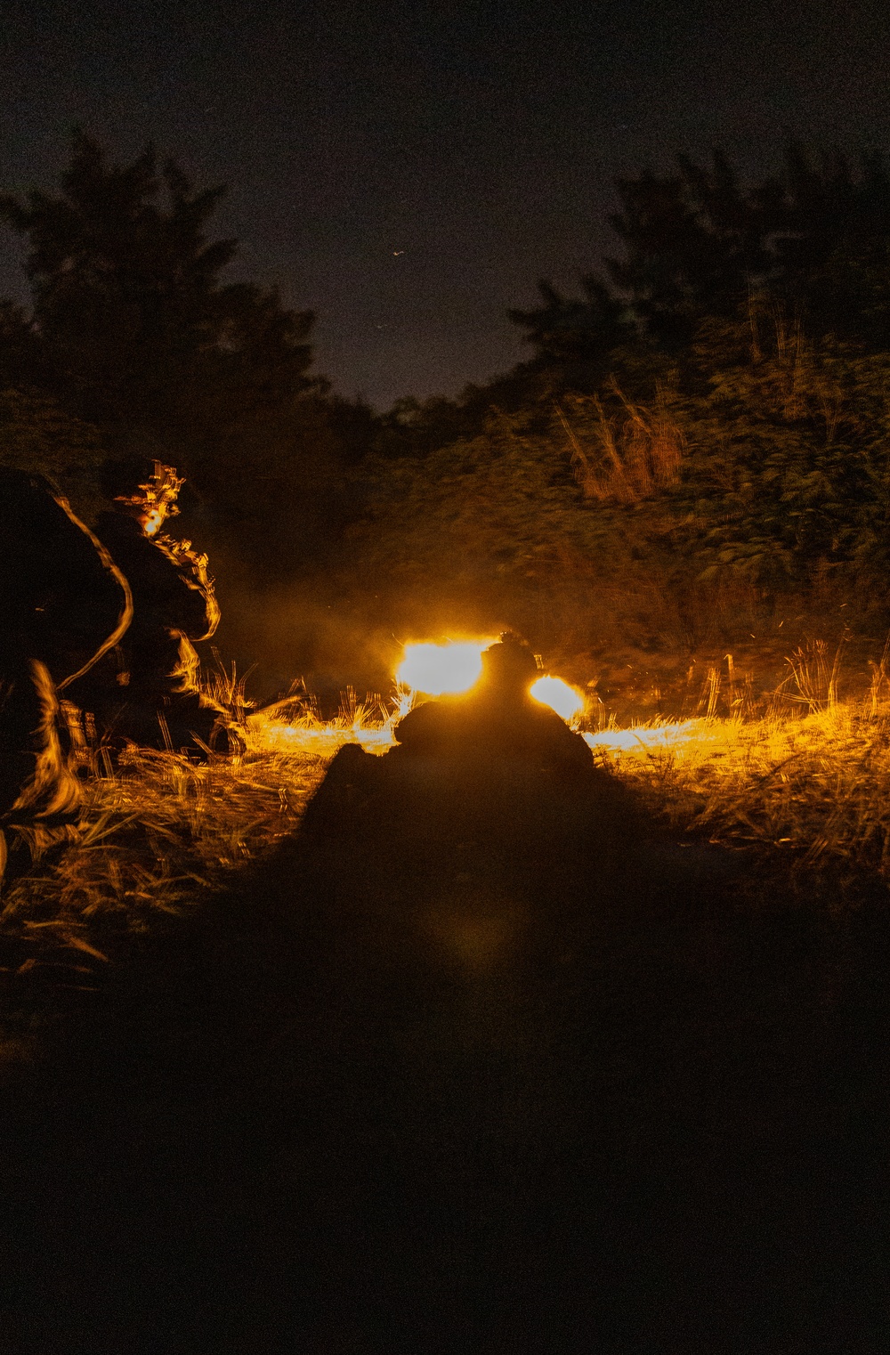 31st MEU | India Co conducts night raid