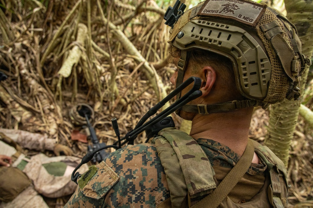 31st MEU | India Co conducts Squad Attack