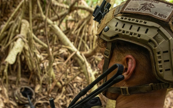 31st MEU | India Co conducts Squad Attack