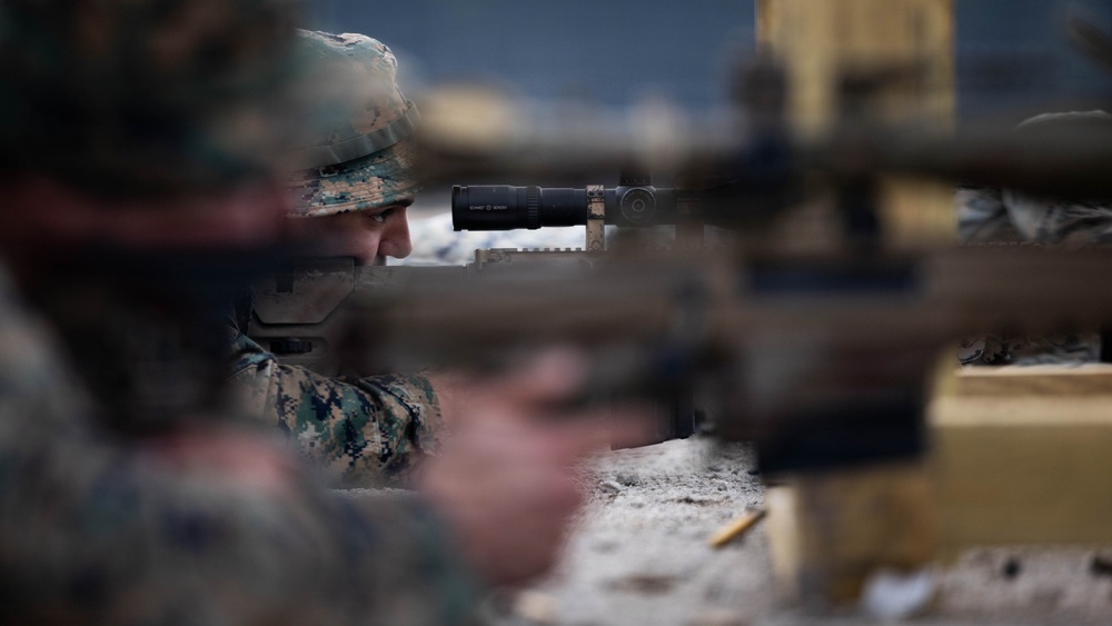 24th MEU CERTEX: v32 Precision range