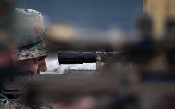 24th MEU CERTEX: v32 Precision range