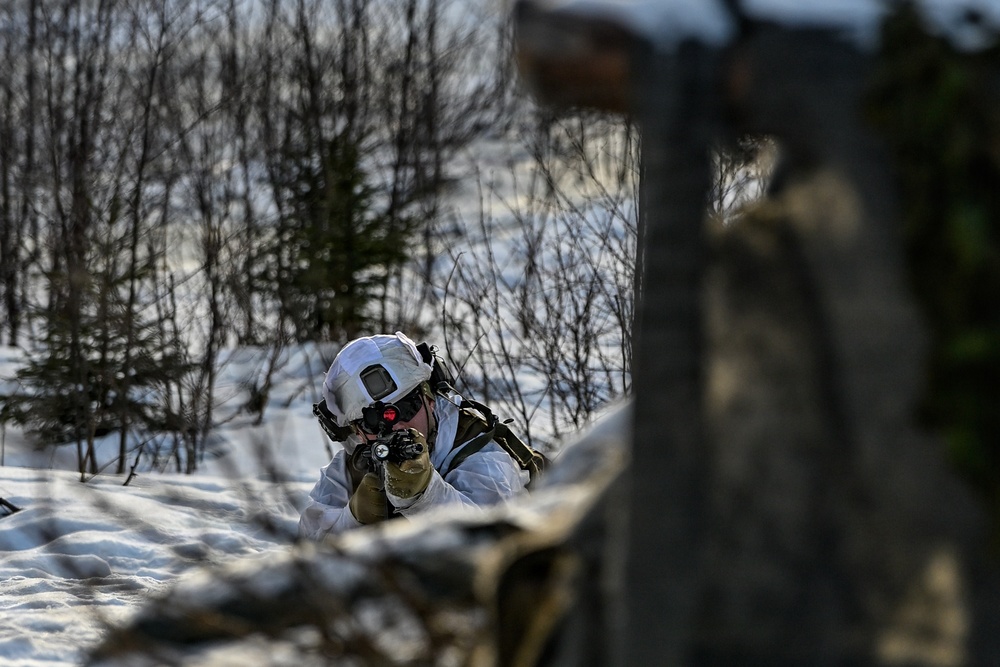 Minnesota National Guard and Norwegian Home Guard complete enhanced winter warfare training during NOREX53
