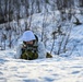 Minnesota National Guard and Norwegian Home Guard complete enhanced winter warfare training during NOREX53
