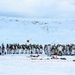 Minnesota National Guard and Norwegian Home Guard complete enhanced winter warfare training during NOREX53