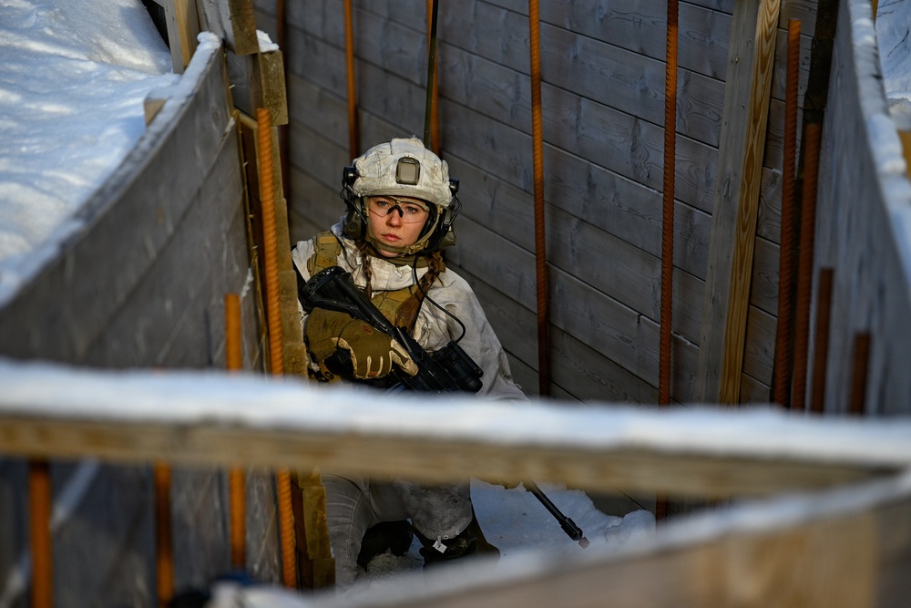 Minnesota National Guard and Norwegian Home Guard complete enhanced winter warfare training during NOREX53