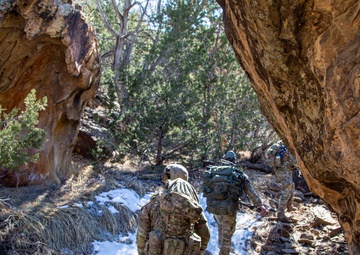 Special Operation Forces integrate into NGC2 during Ivy Sting IV