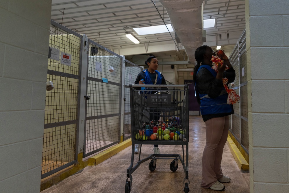 1AD Soldiers volunteer at animal shelter