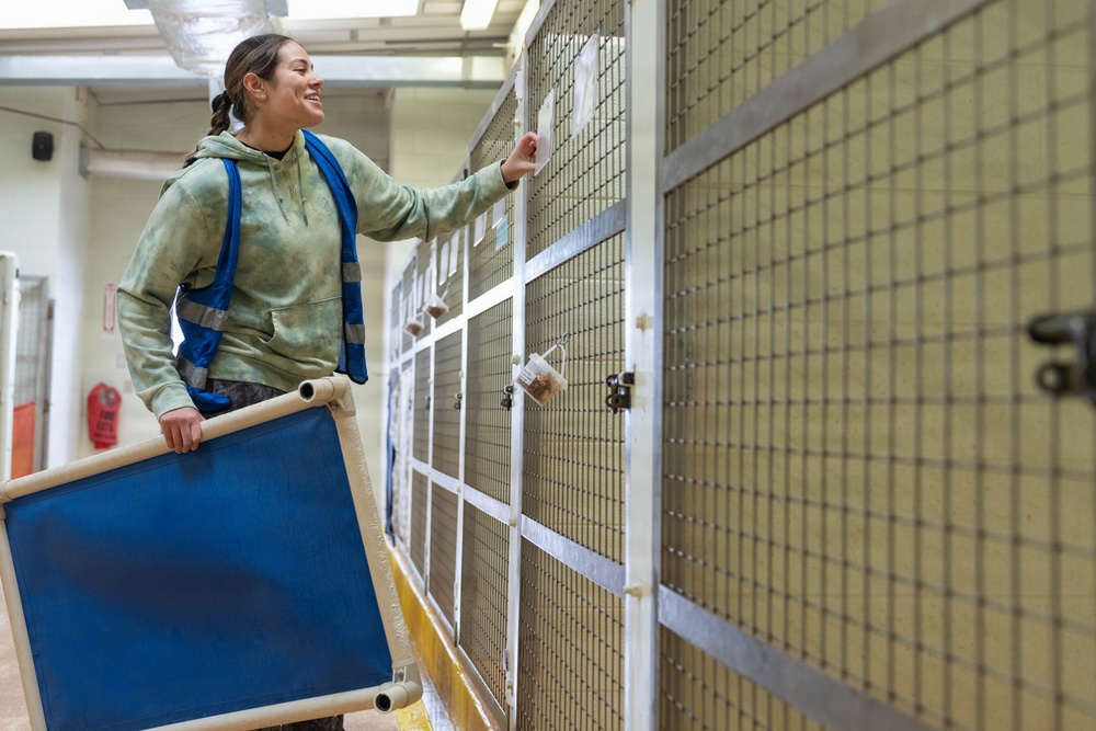 1AD Soldiers volunteer at animal shelter