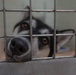 1AD Soldiers volunteer at animal shelter