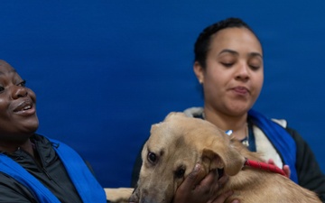 1AD Soldiers volunteer at animal shelter