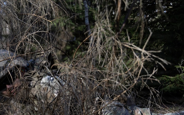 7th Engineer Brigade Best Squad 2026