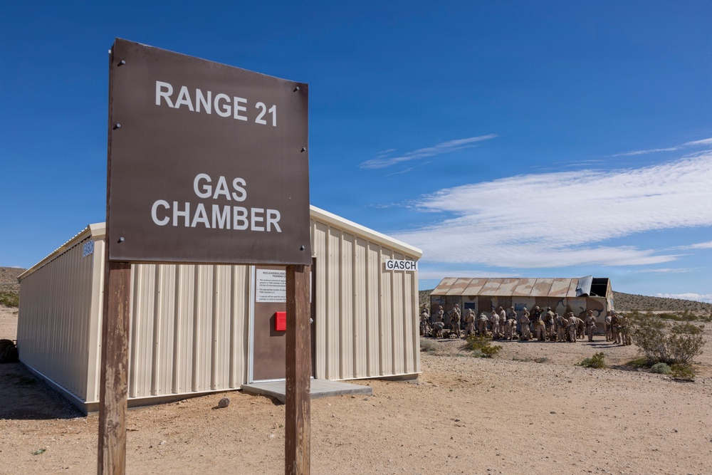 U.S. Marines with 3rd LAR participate in CBRN training during NTC 26-05