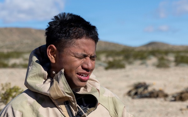 U.S. Marines with 3rd LAR participate in CBRN training during NTC 26-05