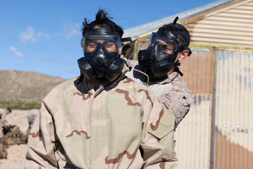 U.S. Marines with 3rd LAR participate in CBRN training during NTC 26-05