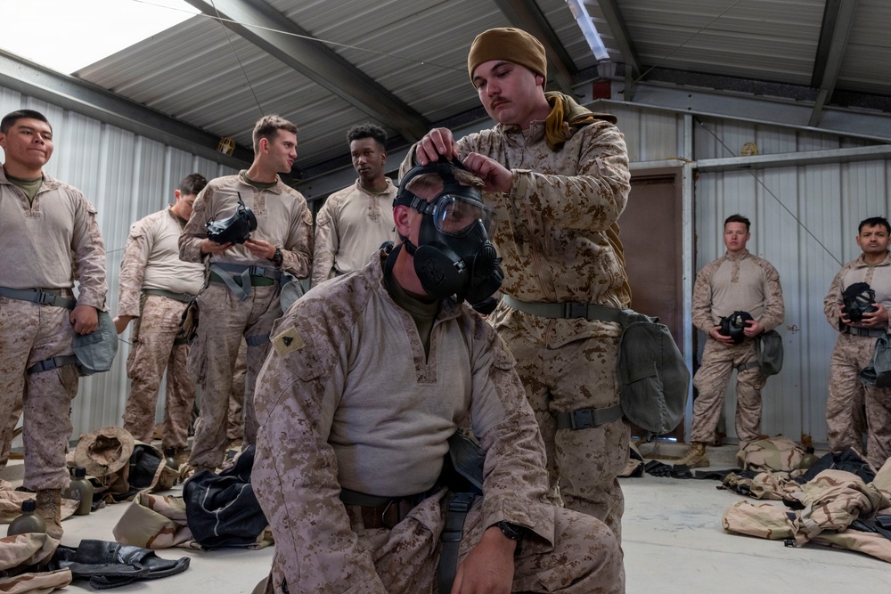 U.S. Marines with 3rd LAR participate in CBRN training during NTC 26-05