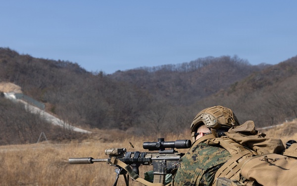 Marines Conduct a Live Fire Range during Korea Viper 26.2
