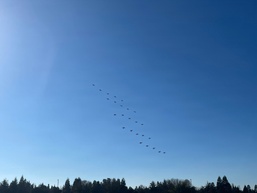 Lawrence Livermore National Laboratory drone swarm field demonstration