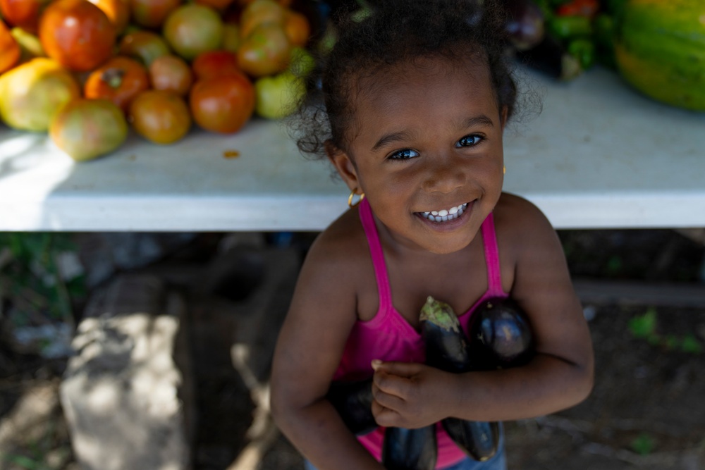 LAMAT Dietitians Connect Nutrition, Readiness&amp;#xA;