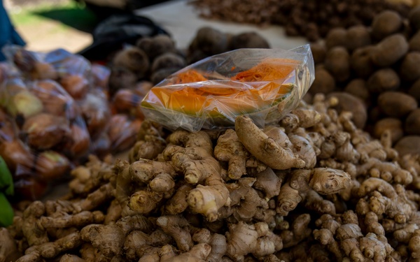 LAMAT Dietitians Connect Nutrition, Readiness&amp;#xA;