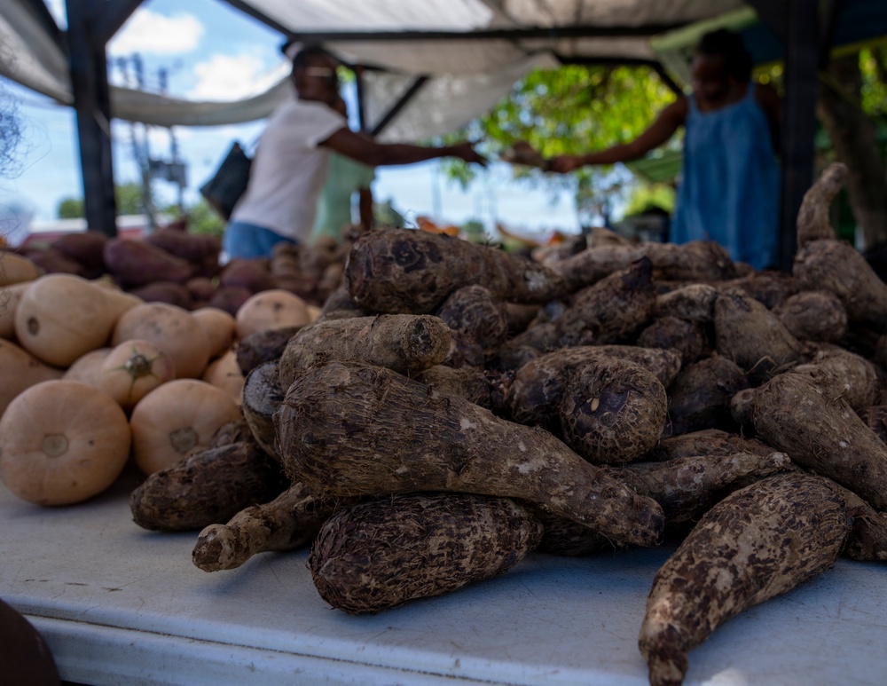 LAMAT Dietitians Connect Nutrition, Readiness&amp;#xA;