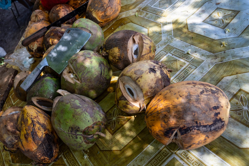 LAMAT Dietitians Connect Nutrition, Readiness&amp;#xA;