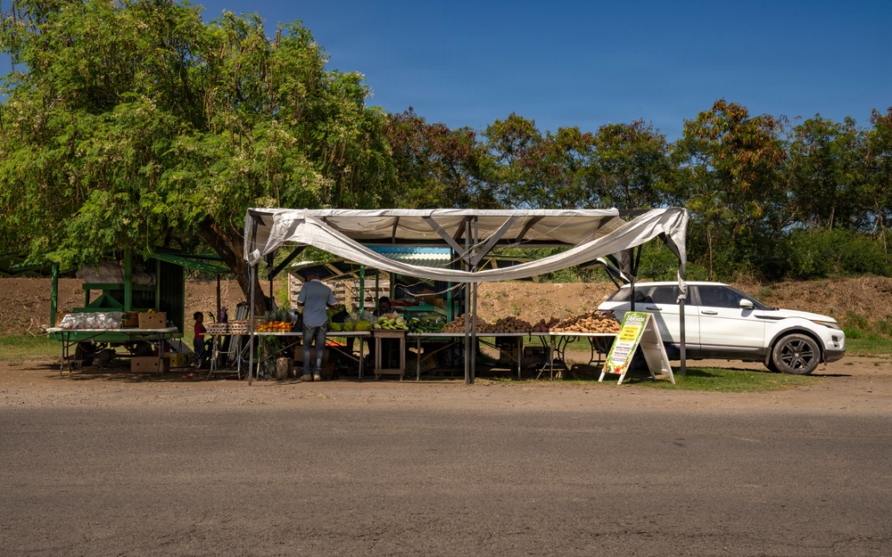 LAMAT Dietitians Connect Nutrition, Readiness&amp;#xA;