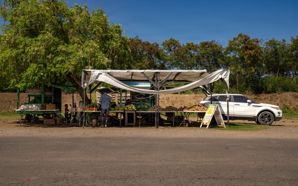 LAMAT Dietitians Connect Nutrition, Readiness&amp;#xA;