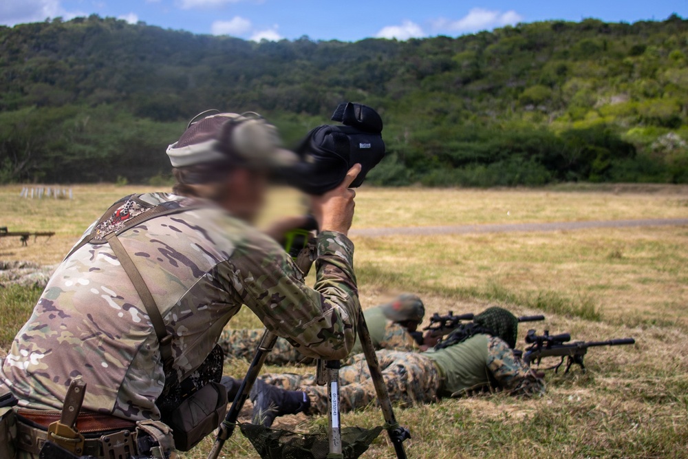 Tropical Dagger XIII