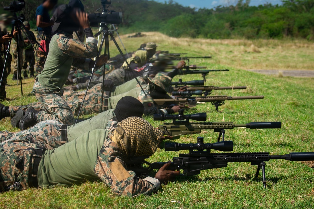 Tropical Dagger XIII