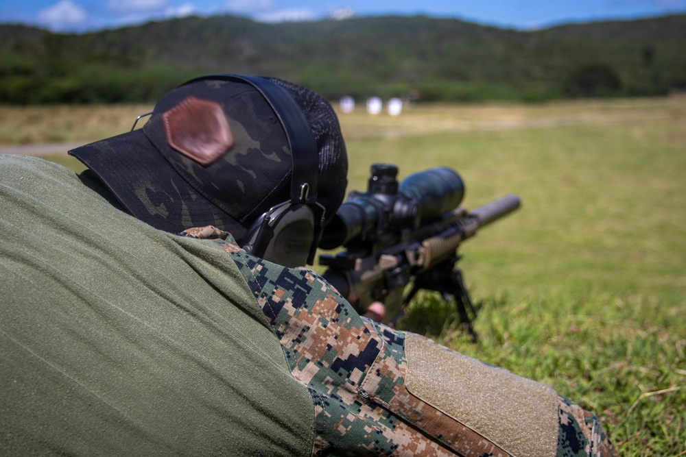 Tropical Dagger XIII