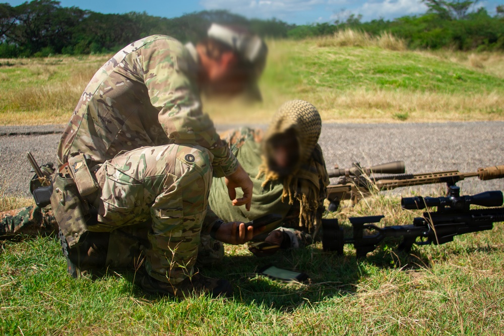 Tropical Dagger XIII