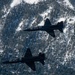 T-38 Talons Conduct Four-Ship Formation Flight in California Airspace