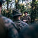 7th Communication Battalion Marines conduct jungle training