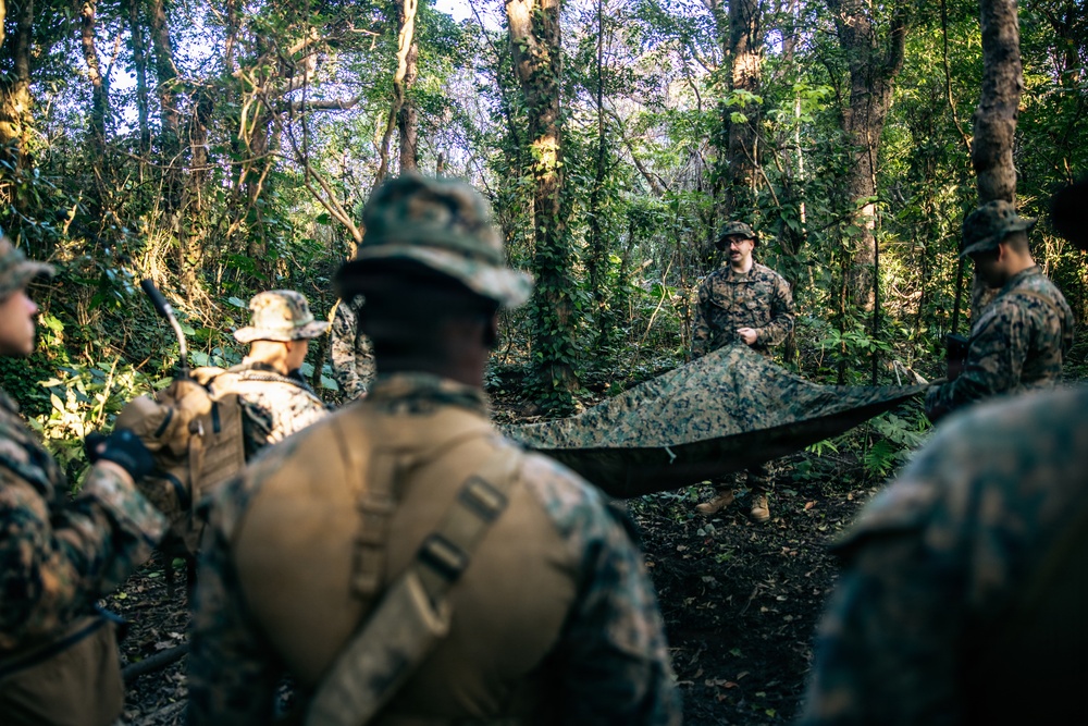 7th Communication Battalion Marines conduct jungle training
